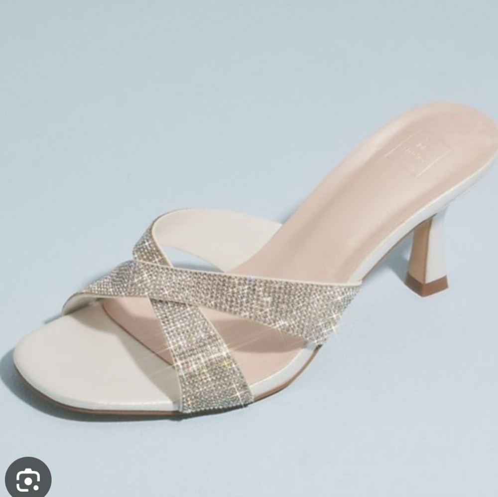 DB Metallic Square-Toe Crisscross MulesSTYLE# CORINNE.llLike New